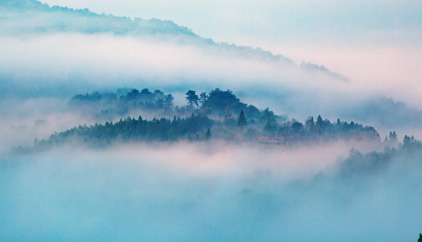 你知道雾度仪的测量应用原理么