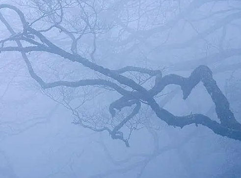 雾度测试方法标准